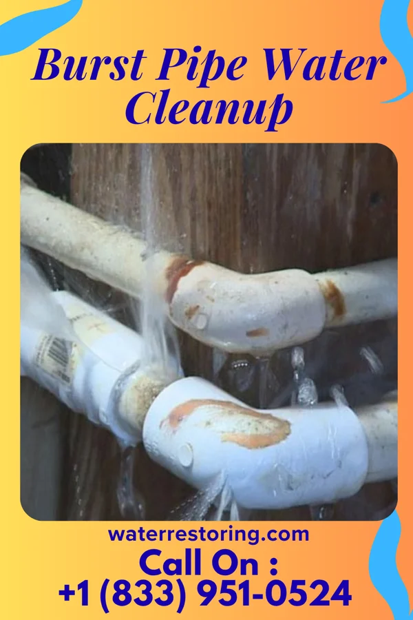 Burst Pipe Water Cleanup in Redwater, TX