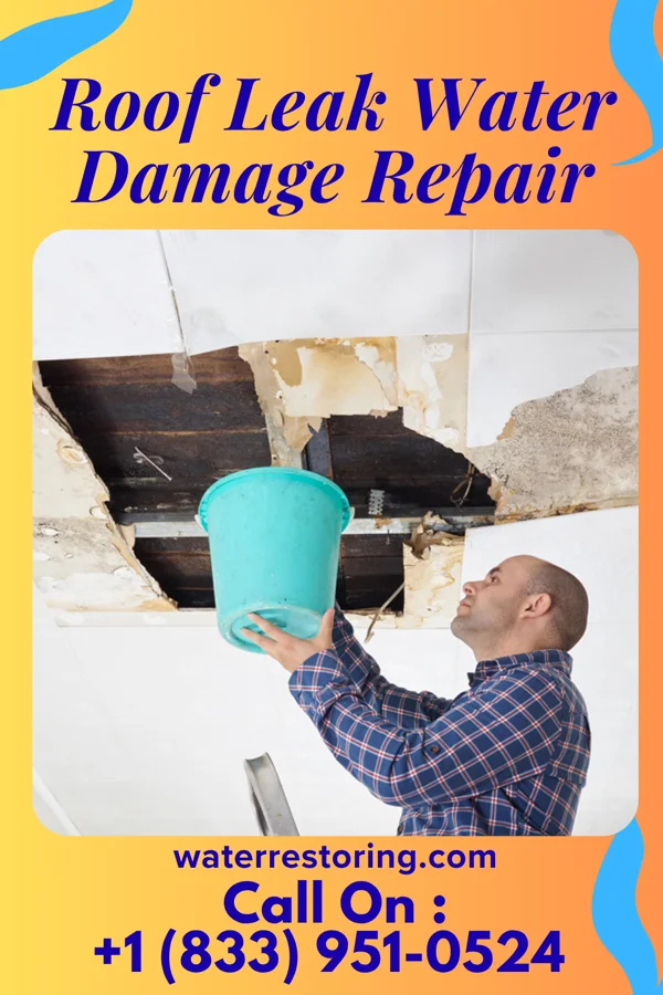 Roof Leak Water Damage Repair in Redwater, TX