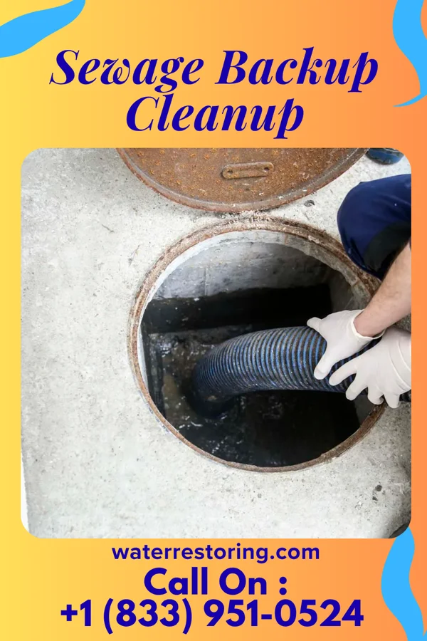 Sewage Backup Cleanup in Redwater, TX